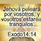 Profile Picture of   Antonio Rivera v........ (@antorayvel52513) on Tiktok