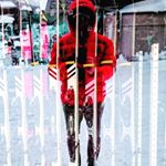 Profile Picture of Andrzej W (@andrey.wolski) on Instagram