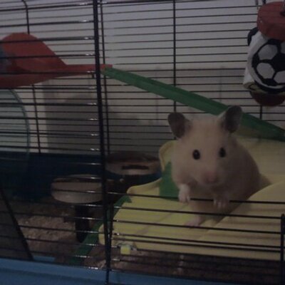 Profile Picture of Richard Eames (@richardeames) on Twitter