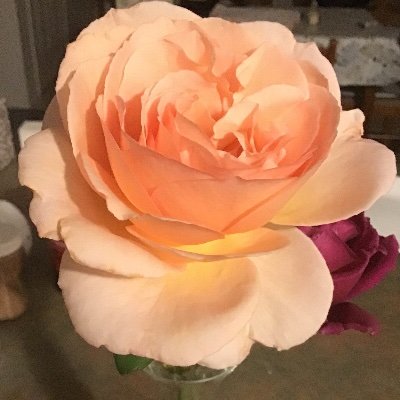 Profile Photo of Gloria Chambers (@GloriaC16996209) on Twitter