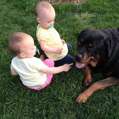 Profile Picture of Joseph Ziomek Iii (@jziomek3) on Twitter