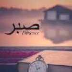 Profile Picture of Shazia Shahid (@shazia2750) on Instagram