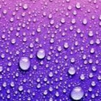 Profile Picture of Jocelyn Pearson (@jocelyn-pearson-6) on Quora
