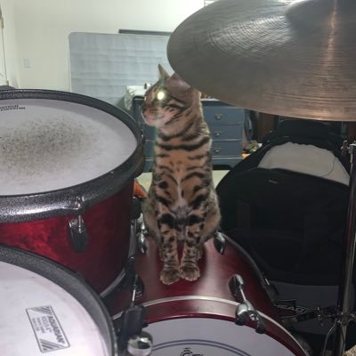Profile Picture of Voodoo Chile (@WalgrenDevin) on Twitter