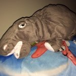 Profile Picture of leobabinchi (@leobabinchi) on Instagram