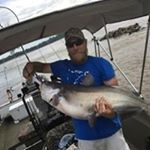 Profile Picture of Jared Robertson (@robertson_jared) on Instagram