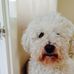 Profile Picture of Maurice Keene (@Maurice-Keene) on Facebook