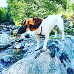 Profile Picture of manon martin (@manon27170) on Instagram