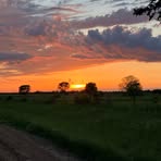 Profile Picture of Cadie Scott (@Cadie-Scott) on Facebook