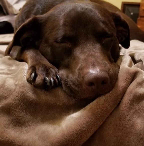 Profile Picture of John Campos (@john8931) on Poshmark