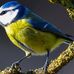 Profile Picture of Adam Humeniuk (@adam.humeniuk.3) on Facebook
