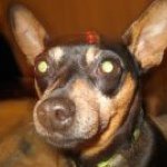 Profile Picture of Cathy Buffy (@buffyfierce) on Instagram