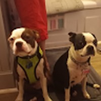 Profile Picture of Jeff Dahl (@jeff-dahl-51) on Quora