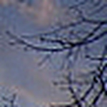 Profile Picture of Peter Pagano (@pjpagano) on Flickr