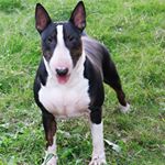 Profile Picture of Dennis  Zhao (@dennis.zhao.161) on Instagram