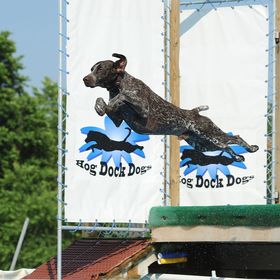 Profile Picture of Lynn Rhodes (@tracygraci) on Pinterest