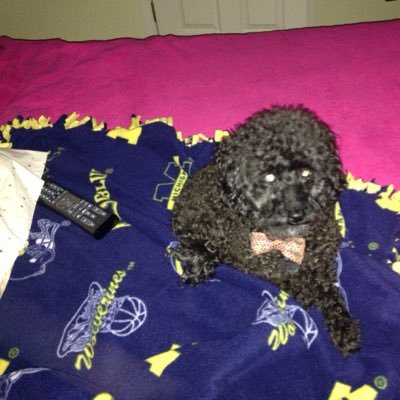 Profile Picture of Charles U Shreve (@CharlesShreve) on Twitter