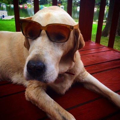 Profile Picture of Sean McGeachy (@A_S_Collab) on Twitter