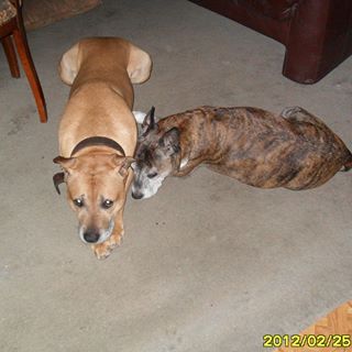 Profile Picture of Fred Groot (@fred.GROOT.3192) on Facebook