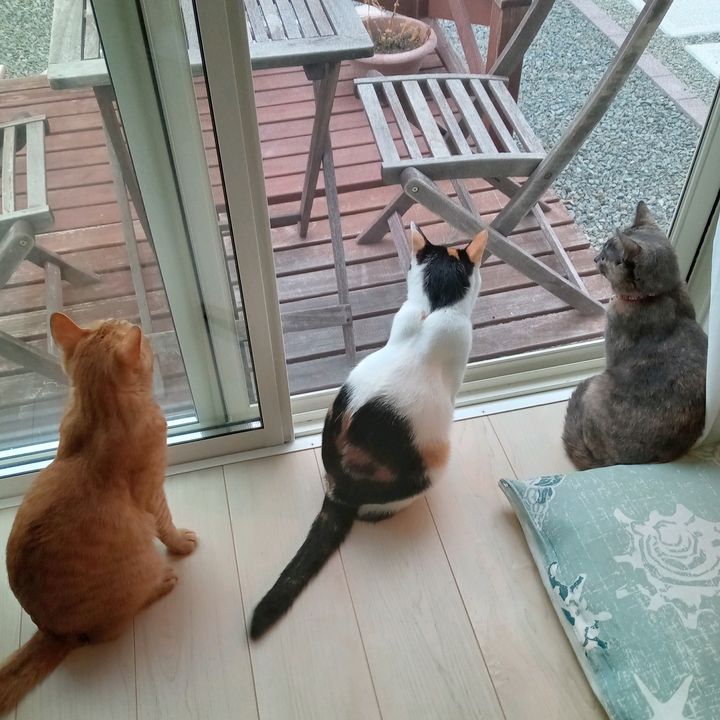 Profile Picture of cyndi shimizu (@user9330832815340) on Tiktok