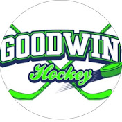 Profile Picture of Brian Goodwin (@briangoodwin6093) on Youtube