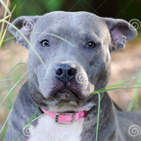 Luke Martinez - Poshmark Profile Picture of Luke Martinez (@lukemartinez664) on Poshmark