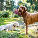 Profile Picture of Daniel Hinkley (@Daniel-Hinkley) on Facebook