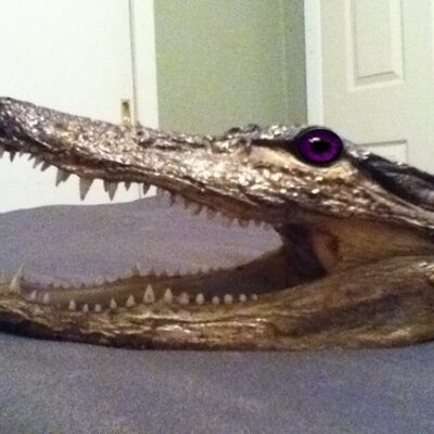 Profile Picture of Jack Curtis (@ViningJack) on Twitter