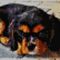 Profile Picture of Kim Melander (@Kim-Melander) on Facebook