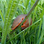 Profile Picture of Julio Javier Lucia G?mez (@jluciag) on Flickr