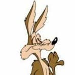 Profile Picture of Steven Wilco (@Steven-Wilco) on Facebook