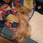 Derek brousseau - Instagram Profile Picture of Derek brousseau (@brousseau.robert) on Instagram