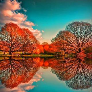 Profile Picture of Justine Hart (@Justine-Hart) on Facebook