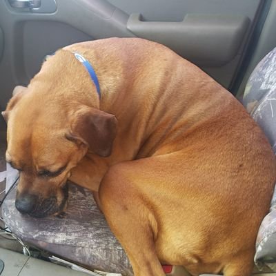 Earl Conner - Twitter Profile Picture of Earl Conner (@EarlConner8) on Twitter