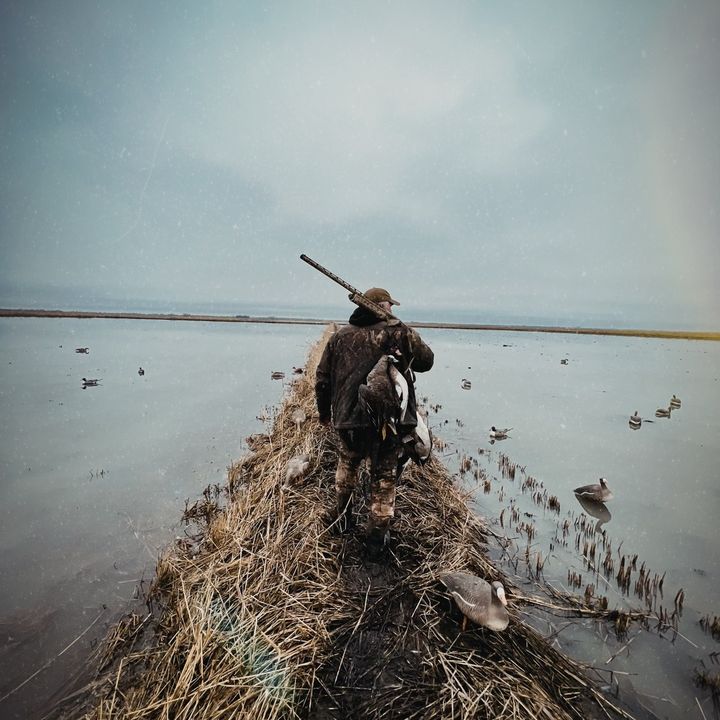 Jim VanBibber - Tiktok Profile Picture of Jim VanBibber (@jimvanbibber789) on Tiktok