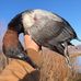 Profile Picture of Mark Mommer (@mark.mommer.9) on Facebook