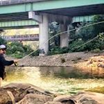 Profile Picture of Paul (@pdxflies) on Instagram