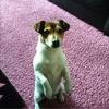 Profile Picture of Paul Cowling (@paul.cowling) on Tiktok