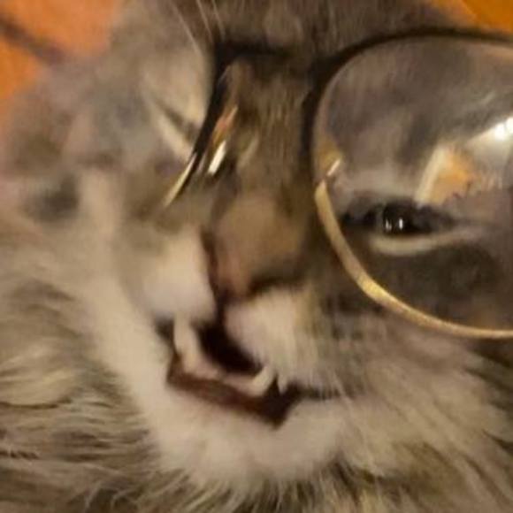 Benjamin Woodward - Poshmark Profile Picture of Benjamin Woodward (@bwoodward93) on Poshmark