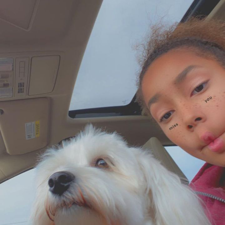 Profile Picture of Hello! (@dixies.holidays_) on Tiktok