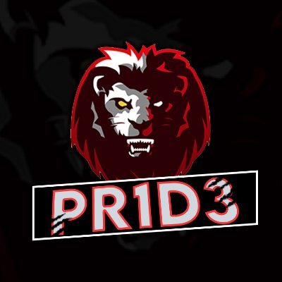 Profile Picture of PR1D3 (@__PR1D3__) on Twitter