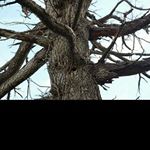 Profile Picture of helene_albertx (@helene_albertx) on Instagram