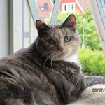 Profile Picture of joyce djurfeldt jensen. (@joycedjurfeldt) on Instagram