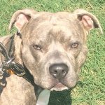 Profile Picture of Chris (@christophermcgowens) on Instagram