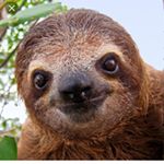 Profile Picture of Greg Pfister (@greg10_p) on Instagram