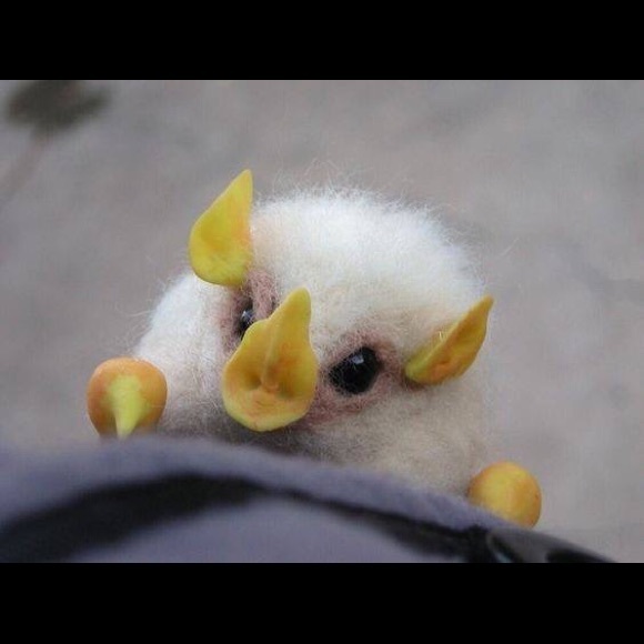 Profile Picture of Abigail Sejas (@aglo33) on Poshmark