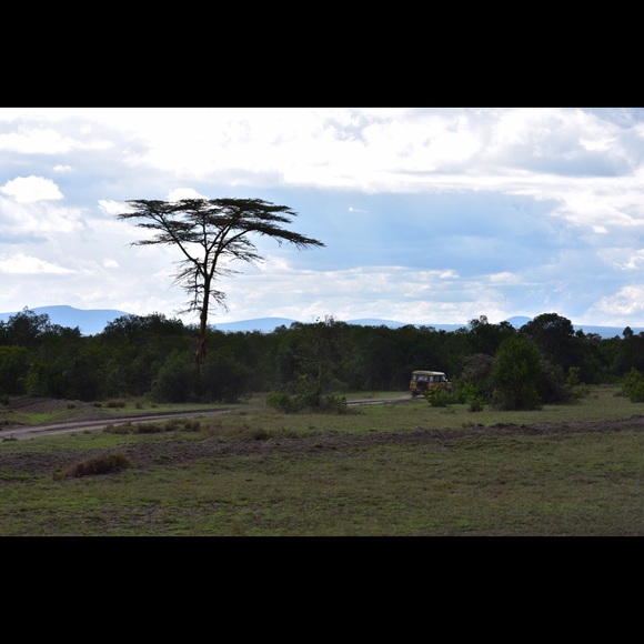 Profile Picture of Meghan Chouanard (@megshopper35) on Poshmark