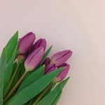 Profile Picture of choi sung hee🎗최성희 (@choi_8000) on Instagram