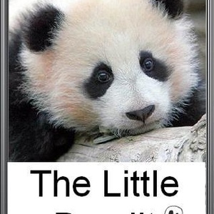 Profile Picture of Andrew Alarcon (@andrewurena) on Myspace