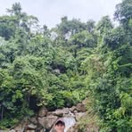 Profile Picture of Jhon Mark Lamping Ganan (@Jhon-Mark-Lamping-Ganan) on Facebook